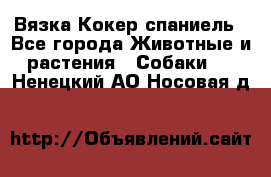 Вязка Кокер спаниель - Все города Животные и растения » Собаки   . Ненецкий АО,Носовая д.